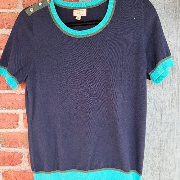 Banana Republic X Issa London Colorblock Sweater with Pearlized Button detail - Picture 2 of 9